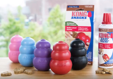 A selection of kong toys on a table with treats
